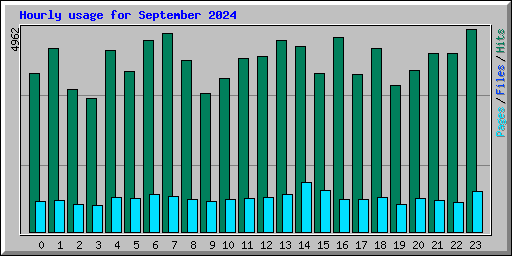 Hourly usage for September 2024