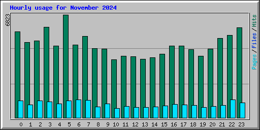 Hourly usage for November 2024