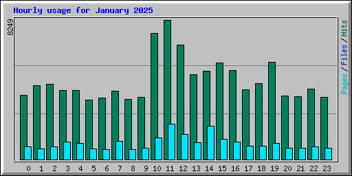 Hourly usage for January 2025