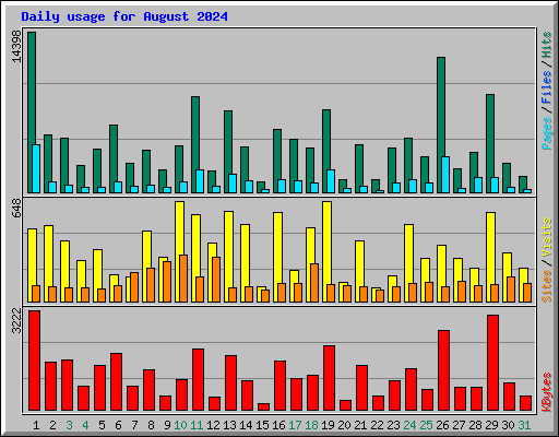 Daily usage for August 2024