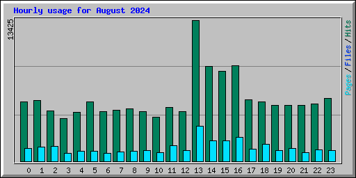 Hourly usage for August 2024