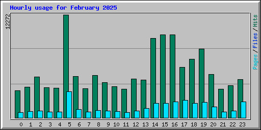 Hourly usage for February 2025