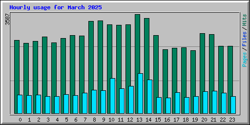 Hourly usage for March 2025