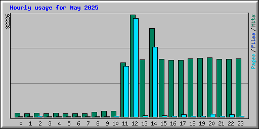 Hourly usage for May 2025