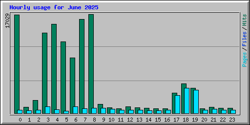 Hourly usage for June 2025